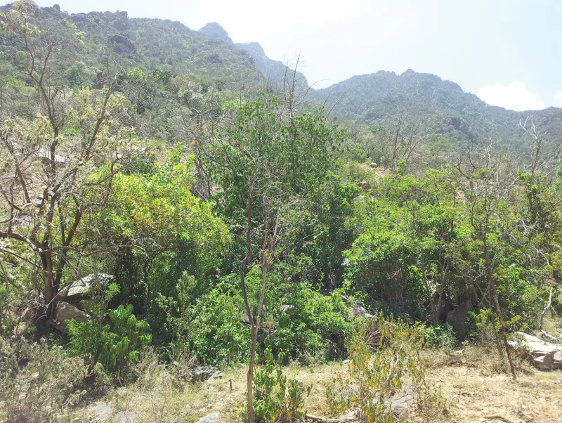 A view of Abha, Saudi Arabia